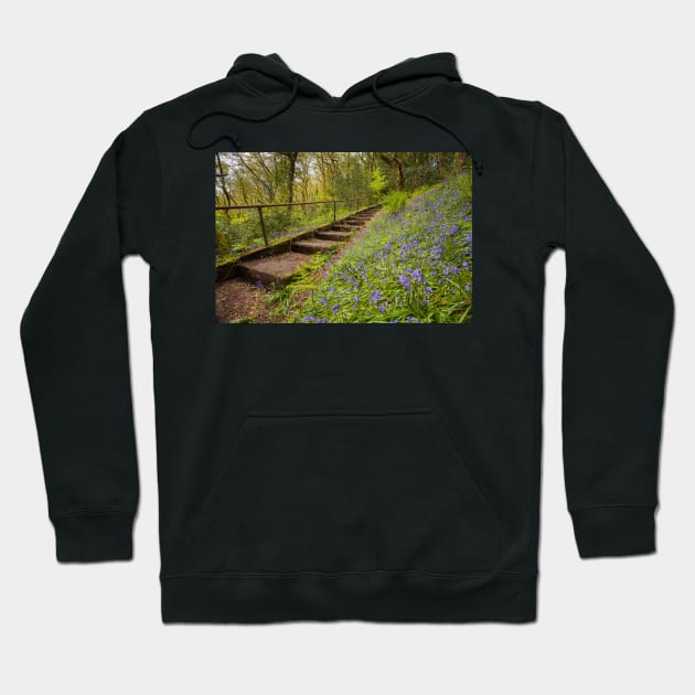 The Hundred Steps, Coedalltacham, Pontardawe, Wales Hoodie by dasantillo